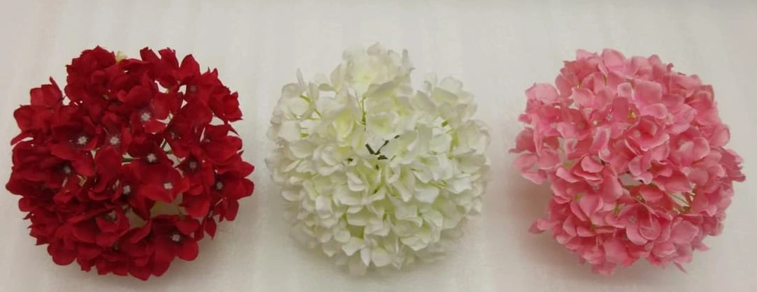 Hydrangea AHXE Head XL